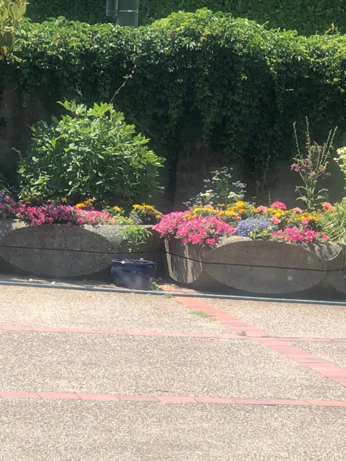 Vancouver Shaughnessy Guest Home Екстериор снимка